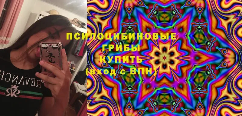 Галлюциногенные грибы Magic Shrooms  Бобров 